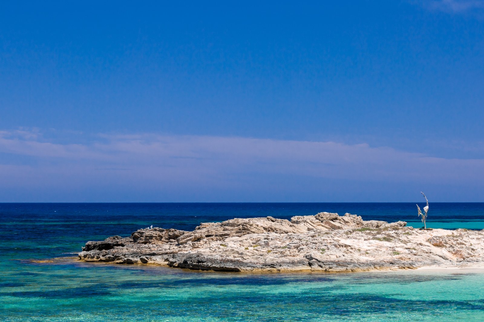 Visitare la spiaggia di Figueretas a Ibiza