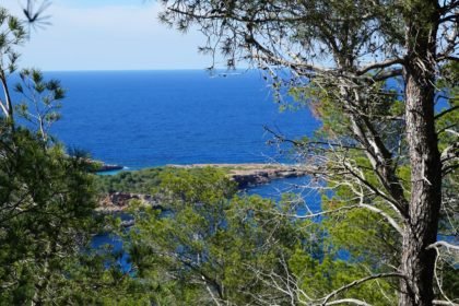 ibiza-829401_1280